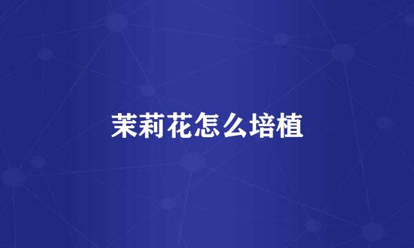 茉莉花怎么培植