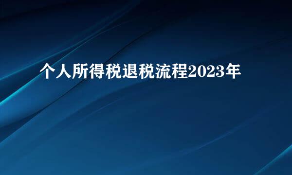 个人所得税退税流程2023年