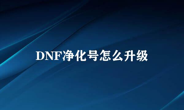 DNF净化号怎么升级