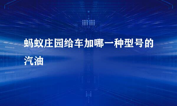 蚂蚁庄园给车加哪一种型号的汽油