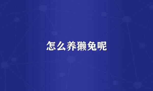 怎么养獭兔呢