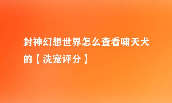 封神幻想世界怎么查看啸天犬的【洗宠评分】