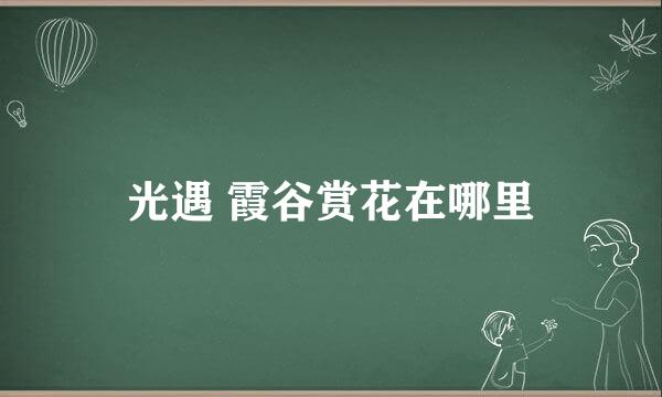 光遇 霞谷赏花在哪里