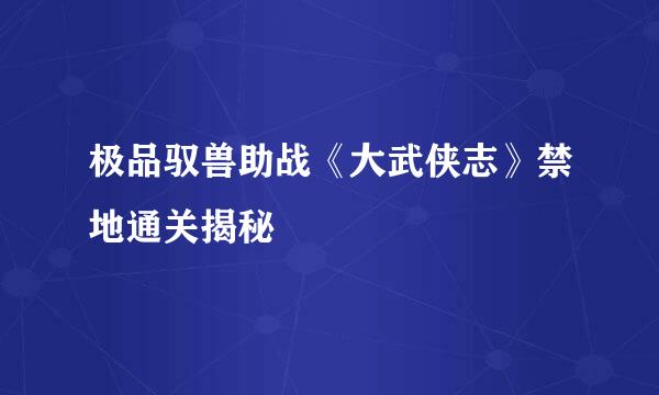 极品驭兽助战《大武侠志》禁地通关揭秘