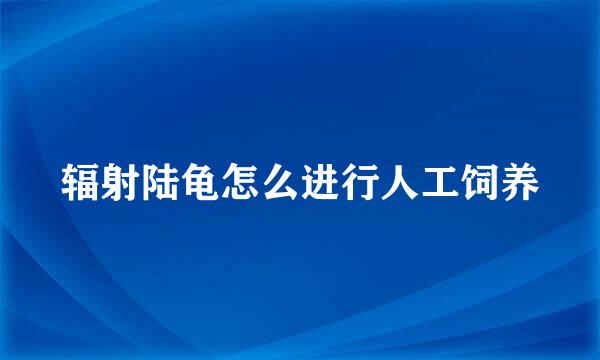 辐射陆龟怎么进行人工饲养