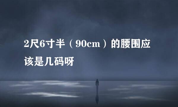 2尺6寸半（90cm）的腰围应该是几码呀