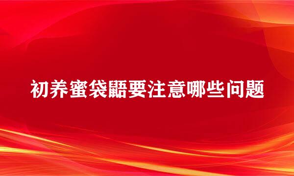 初养蜜袋鼯要注意哪些问题