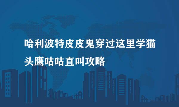 哈利波特皮皮鬼穿过这里学猫头鹰咕咕直叫攻略