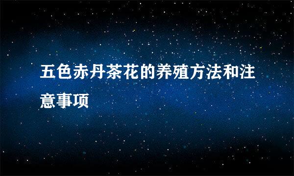 五色赤丹茶花的养殖方法和注意事项