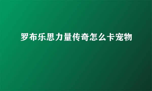 罗布乐思力量传奇怎么卡宠物