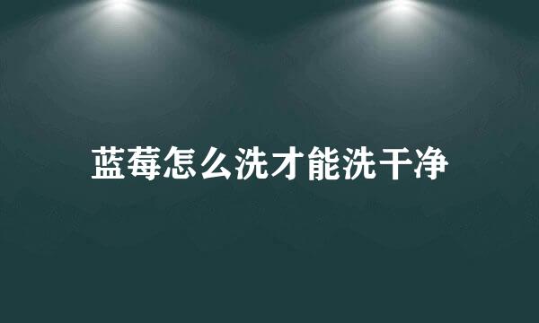 蓝莓怎么洗才能洗干净