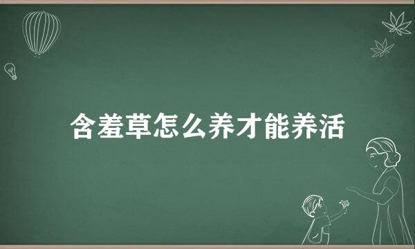 含羞草怎么养才能养活