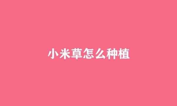 小米草怎么种植