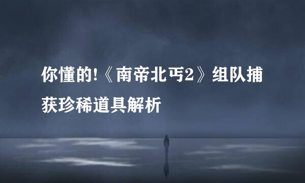 你懂的!《南帝北丐2》组队捕获珍稀道具解析