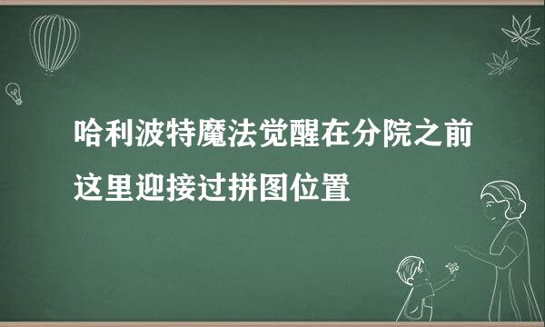 哈利波特魔法觉醒在分院之前这里迎接过拼图位置