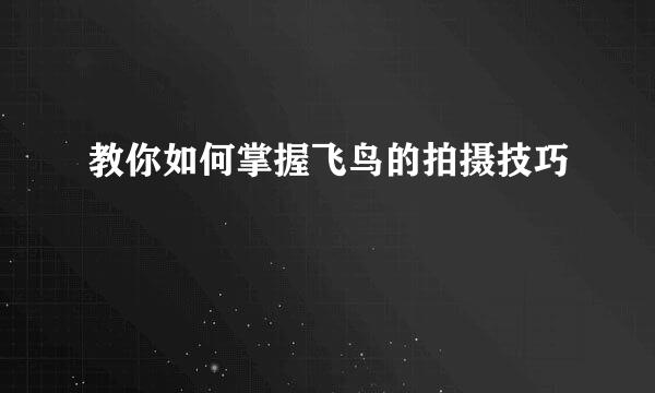 教你如何掌握飞鸟的拍摄技巧