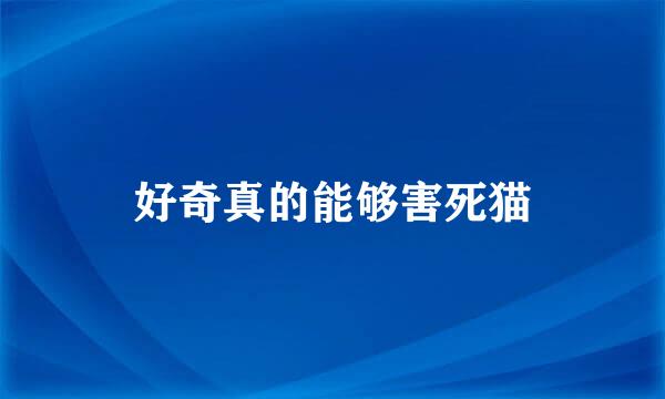 好奇真的能够害死猫