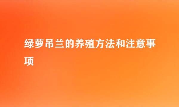绿萝吊兰的养殖方法和注意事项