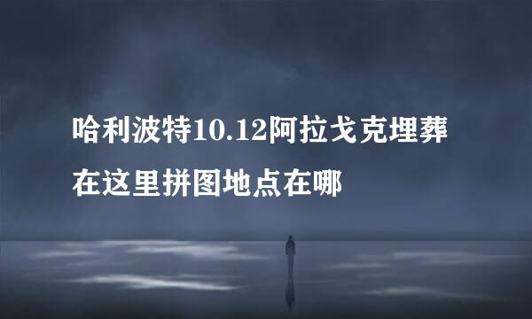 哈利波特10.12阿拉戈克埋葬在这里拼图地点在哪