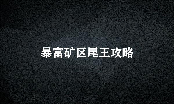 暴富矿区尾王攻略