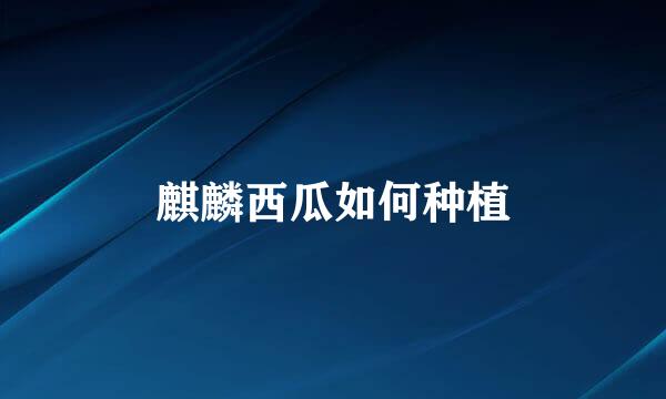 麒麟西瓜如何种植