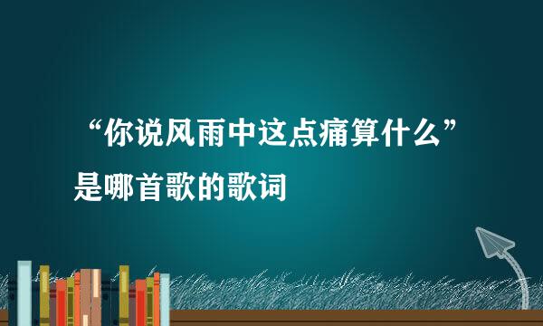 “你说风雨中这点痛算什么”是哪首歌的歌词