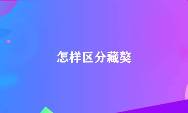 怎样区分藏獒