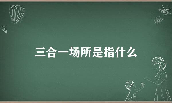 三合一场所是指什么