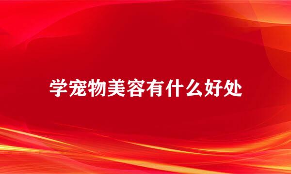 学宠物美容有什么好处