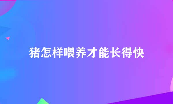 猪怎样喂养才能长得快
