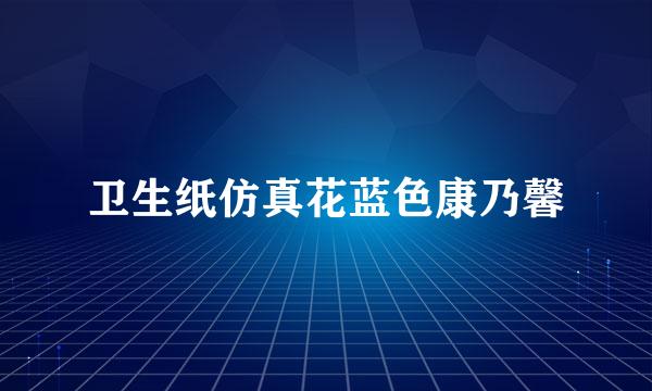 卫生纸仿真花蓝色康乃馨