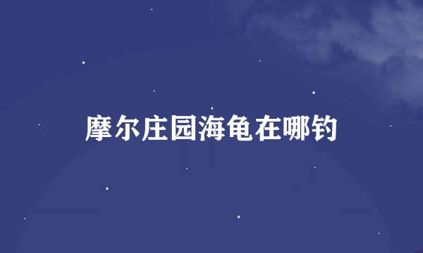 摩尔庄园海龟在哪钓