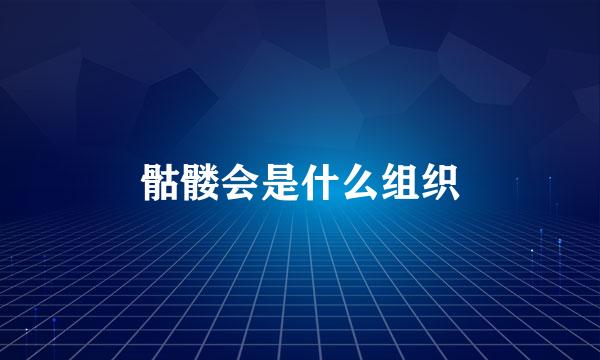 骷髅会是什么组织