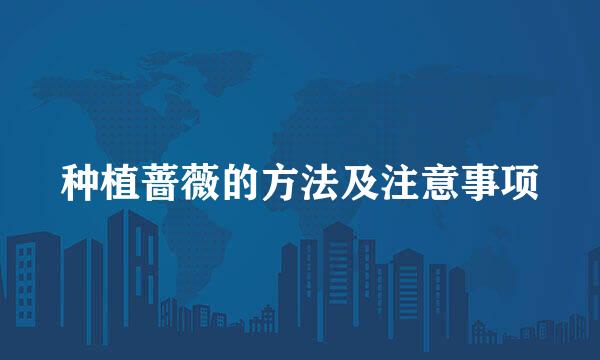 种植蔷薇的方法及注意事项