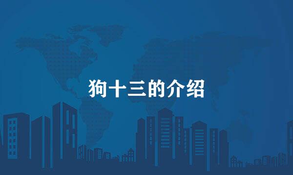 狗十三的介绍