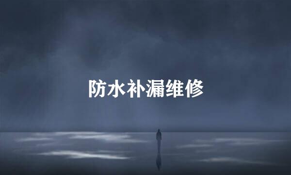 防水补漏维修