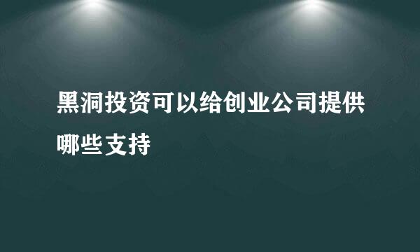 黑洞投资可以给创业公司提供哪些支持