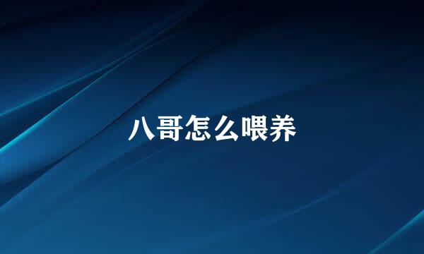 八哥怎么喂养