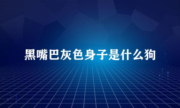 黑嘴巴灰色身子是什么狗