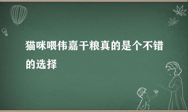 猫咪喂伟嘉干粮真的是个不错的选择