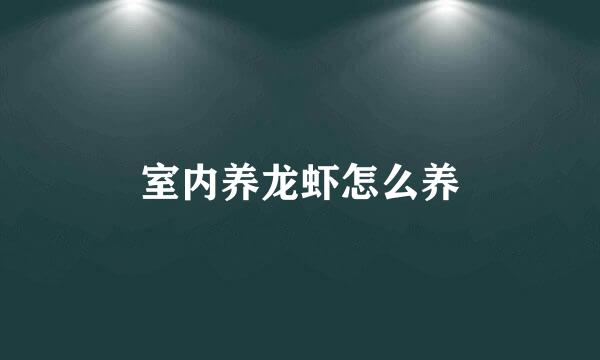 室内养龙虾怎么养