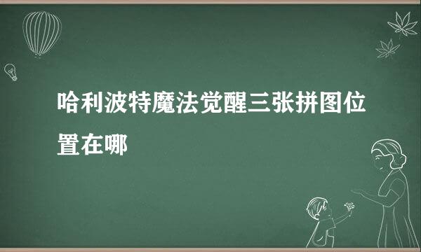 哈利波特魔法觉醒三张拼图位置在哪