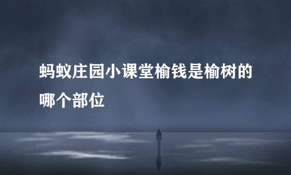 蚂蚁庄园小课堂榆钱是榆树的哪个部位