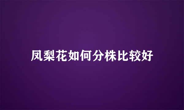 凤梨花如何分株比较好