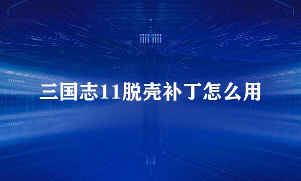 三国志11脱壳补丁怎么用