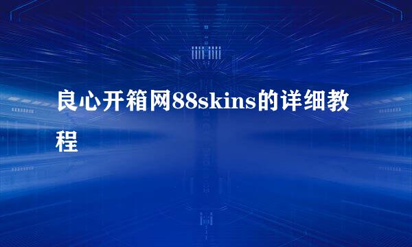 良心开箱网88skins的详细教程