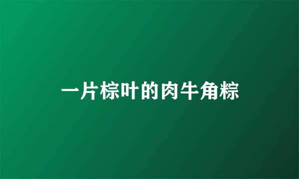一片棕叶的肉牛角粽