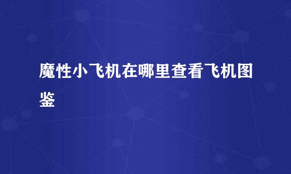 魔性小飞机在哪里查看飞机图鉴