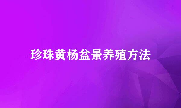 珍珠黄杨盆景养殖方法