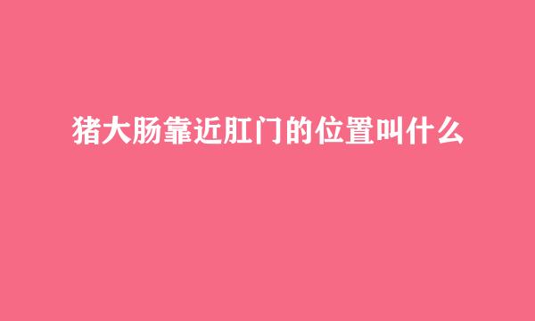 猪大肠靠近肛门的位置叫什么